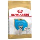 Royal Canin French Bulldog Puppy 10kg sucha karma dla szczeniąt rasy buldog francuski