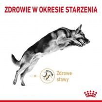 Royal Canin German Shepherd Ageing +5 12kg sucha karma dla owczarków niemieckich