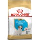 Royal Canin Jack Russell Terrier Puppy 0,5kg sucha karma dla szczeniąt