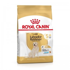 Royal Canin Labrador Ageing +5 12kg sucha karma dla starszych psów