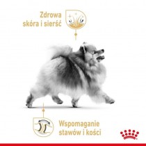 Royal Canin Pomeranian pasztet 85g mokra karma dla psów rasy szpic miniaturowy