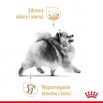 Royal Canin Pomeranian Adult 0,5kg sucha karma dla szpiców miniaturowych