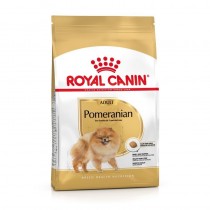 Royal Canin Pomeranian Adult 3kg sucha karma dla szpiców miniaturowych
