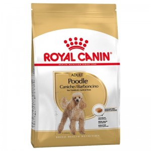 Royal Canin Poodle Adult 1,5kg sucha karma dla pudli