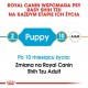 Royal Canin Shih Tzu Puppy 1,5kg sucha karma dla szczeniąt