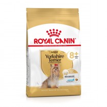 Royal Canin Yorkshire Terrier Ageing 8+ 0,5kg sucha karma dla starszych psów