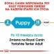 Royal Canin Yorkshire Terrier Puppy 7,5kg sucha karma dla szczeniąt