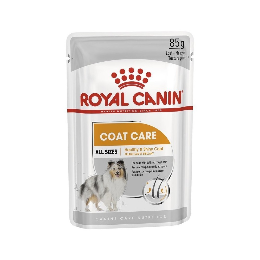 Royal Canin Coat Care pasztet 85g dla psów zdrowa i lśniąca sierść