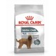 Royal Canin Maxi Dental Adult 9kg sucha karma dla psów dużych ras