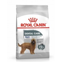 Royal Canin Maxi Dental Adult 9kg sucha karma dla psów dużych ras