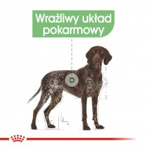 Royal Canin Maxi Digestive Care 3kg dla psów z wrażliwym przewodem pokarmowym