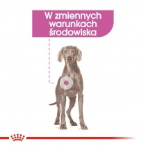 Royal Canin Maxi Relax Care Adult 9kg sucha karma dla psów dużych ras