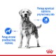 Royal Canin Medium Light Weight Care 3kg karma odchudzająca dla średnich psów