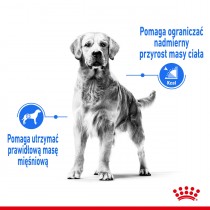 Royal Canin Medium Light Weight Care 3kg karma odchudzająca dla średnich psów