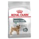 Royal Canin Mini Dental Adult 3kg karma dla psów małych ras