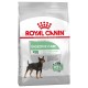 Royal Canin Mini Digestive Care 3kg dla psów z wrażliwym przewodem pokarmowym