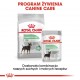 Royal Canin Mini Digestive Care 8kg dla psów z wrażliwym przewodem pokarmowym