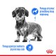 Royal Canin Mini Light Weight Care 3kg karma odchudzająca dla małych psów