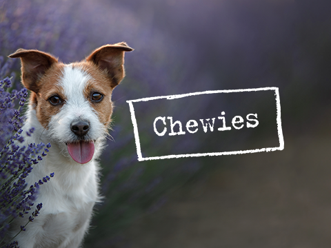 Naturalne przysmaki dla psa Chewies