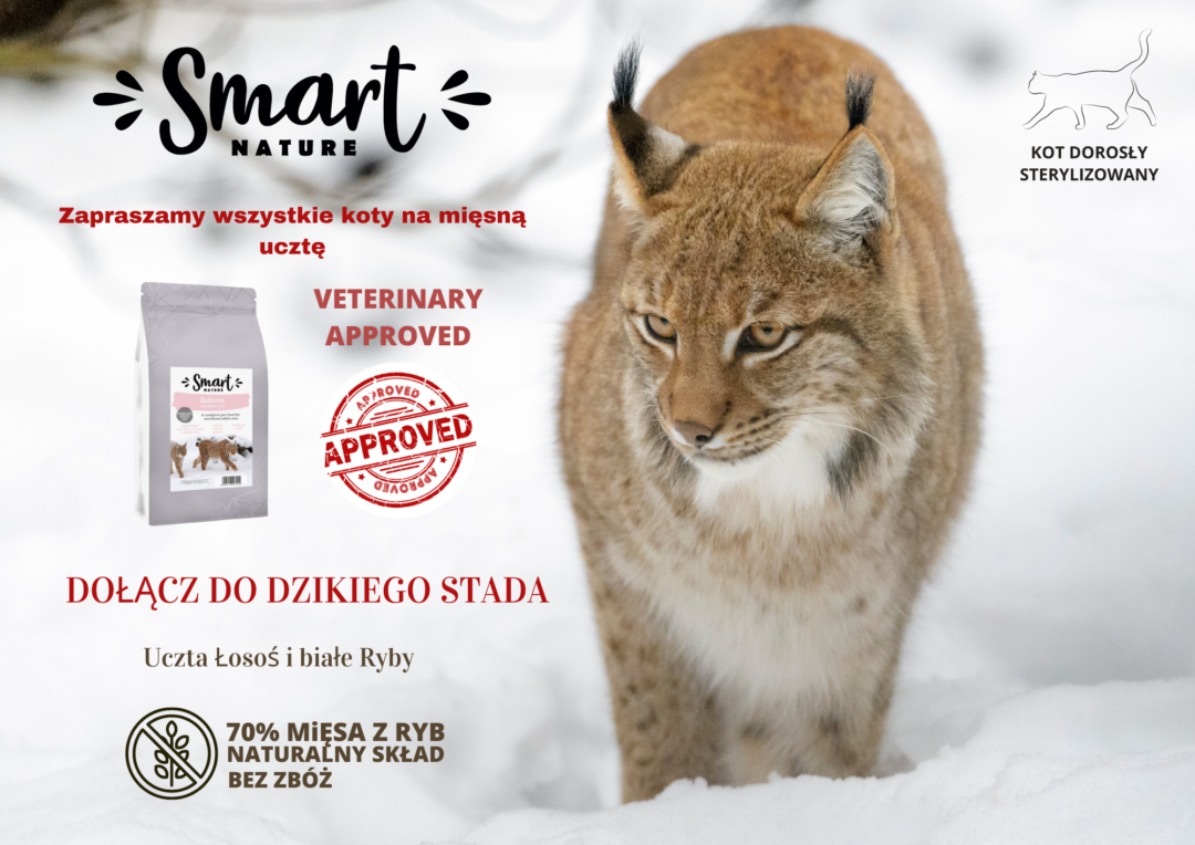 Sucha karma dla kota Smart Nature, bez zbóż, 70% mięsa