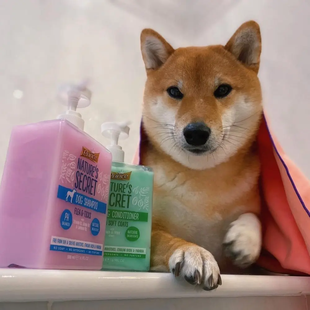 prince szampon dla psa